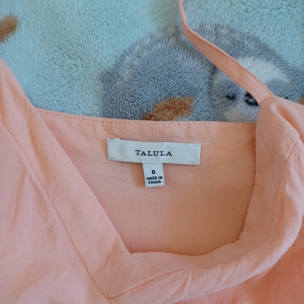 Aritzia Talula Lipinski Dress - Picture 8 of 10